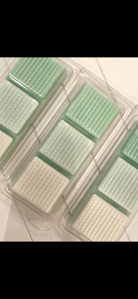 Lenny Frosted Eucalyptus Clamshell